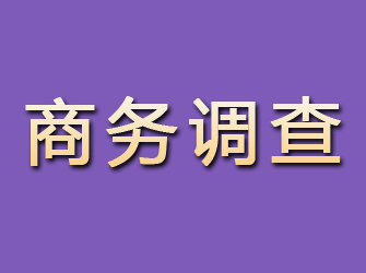 碾子山商务调查